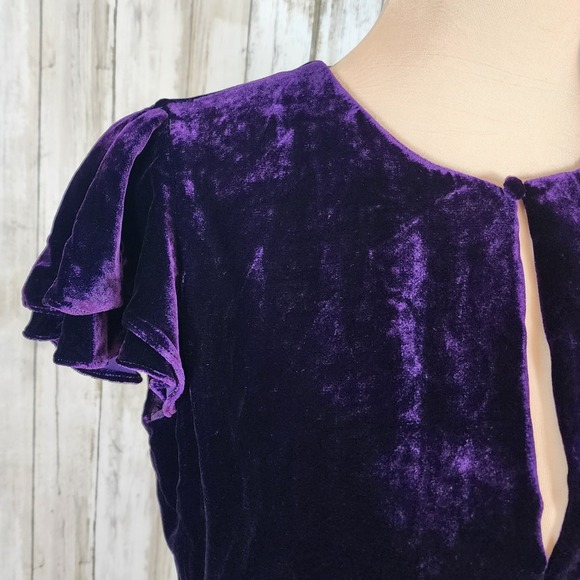 Polo Ralph Lauren Velvet Silk Blend Dress Sz 6 Purple Flutter Sleeve Party - Picture 10 of 15